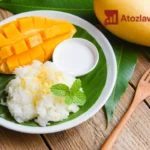 Manggo Stiky Rice